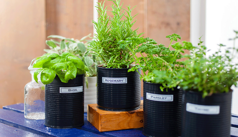 Urteplanter i sorte potter med en hvit Brother P-touch merketape